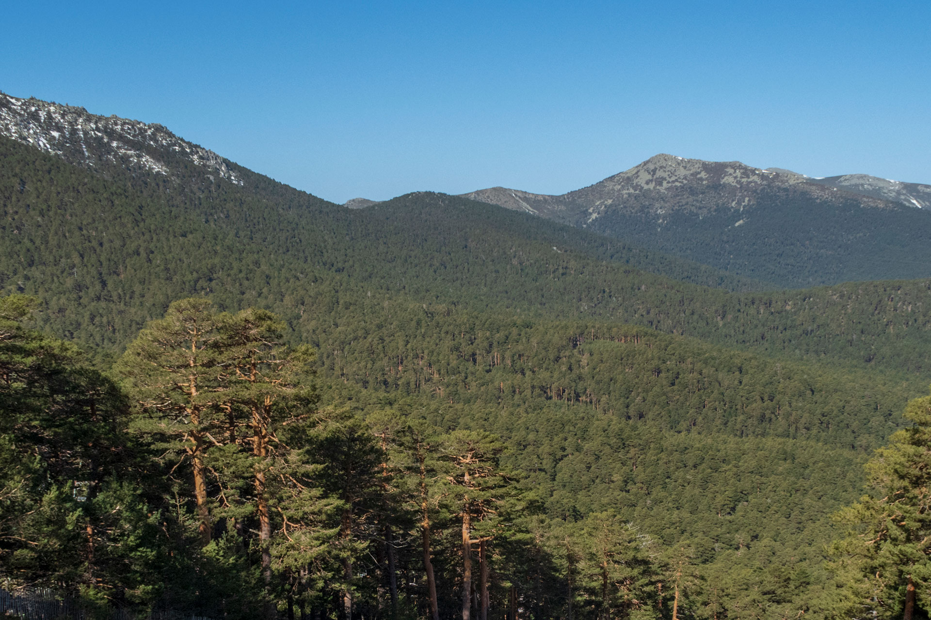 Los ciudadanos podrán opinar en el programa piloto. / KAMARERO