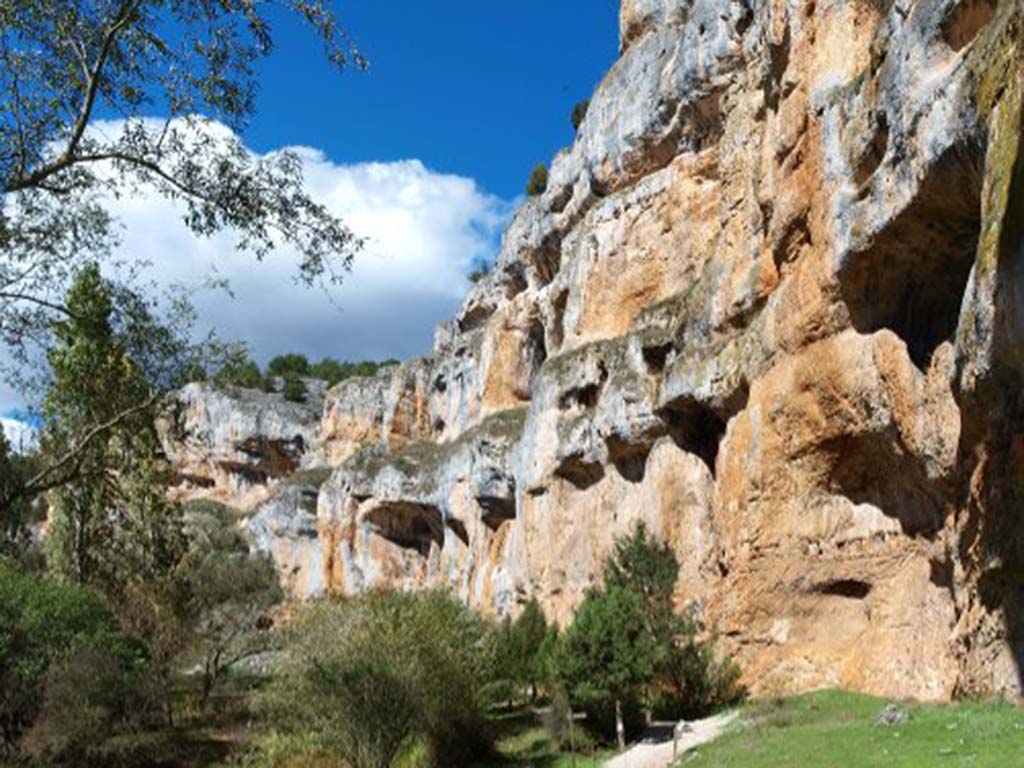 canon rio lobos soria