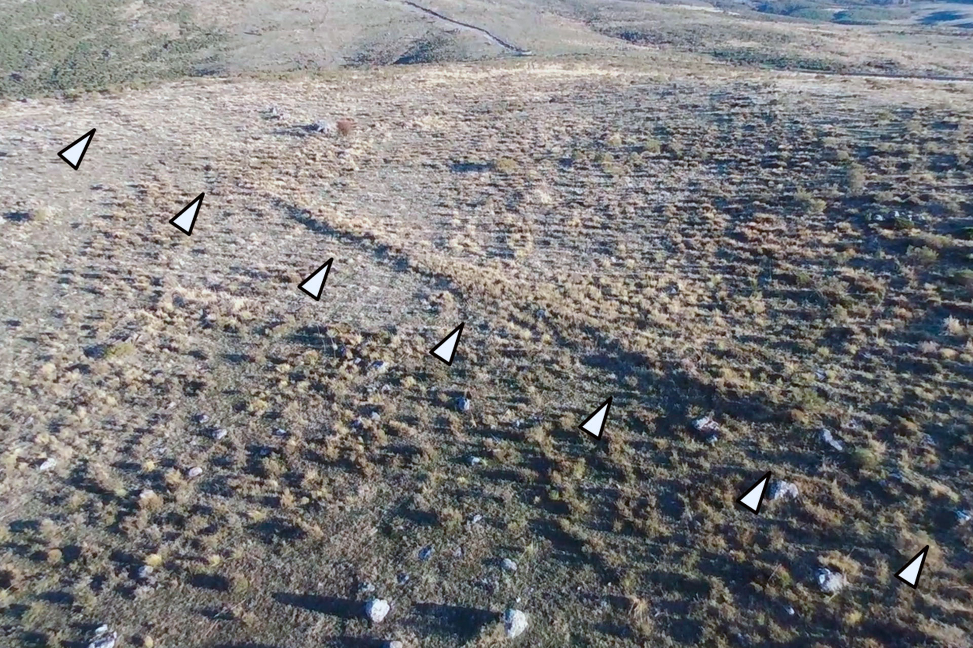 el espinar arqueologia campamento militar romano