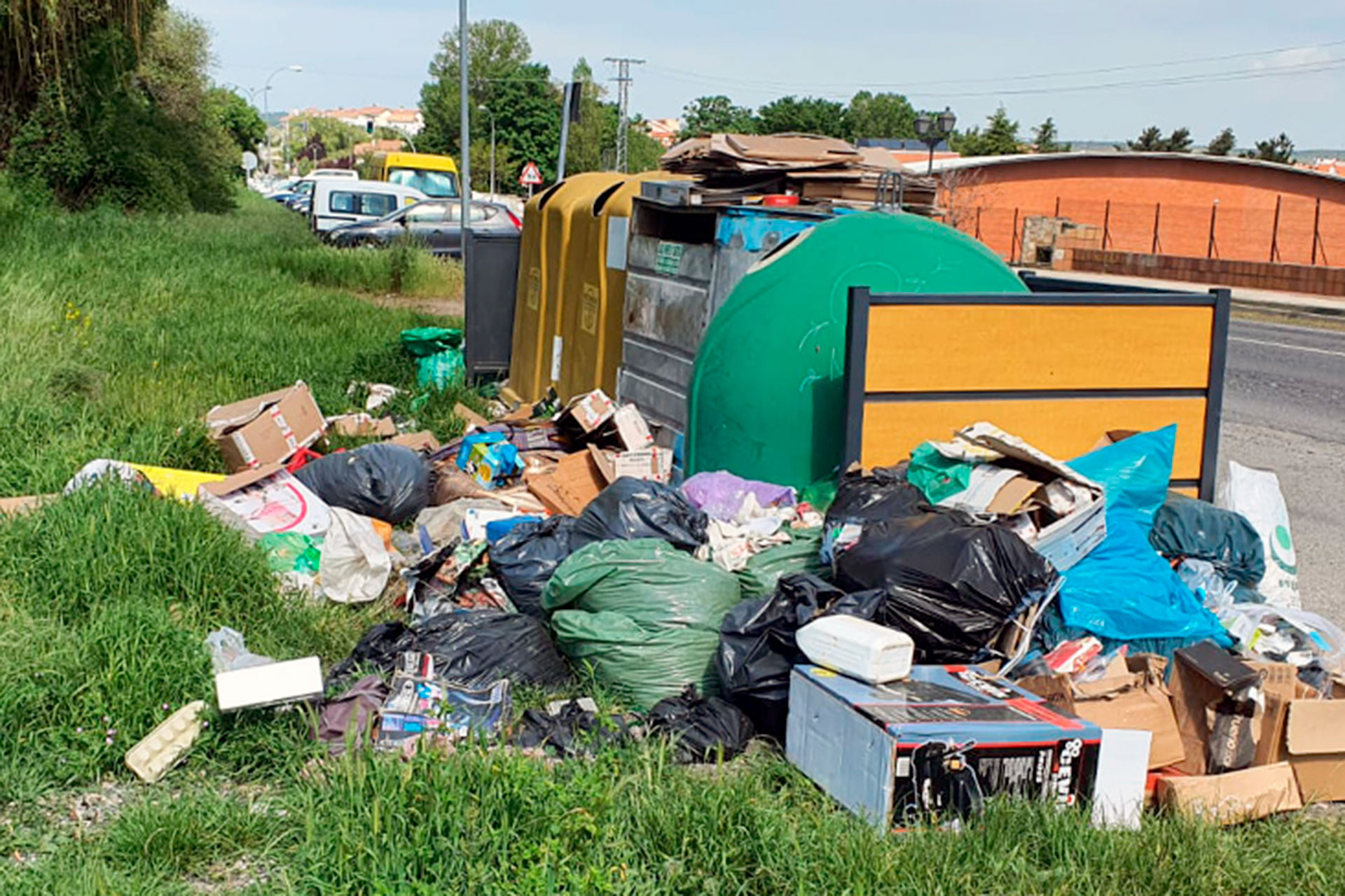 el espinar basuras abandono muebles 02