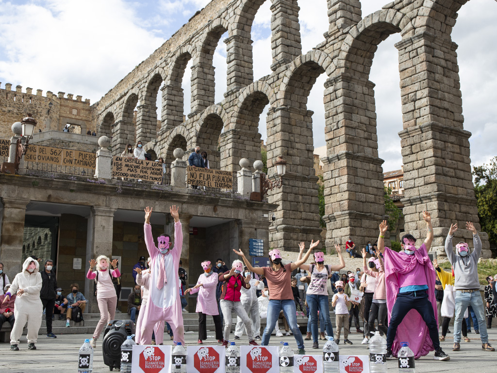 Movilización contra la ganadería industrial 1 movilizacion contra la ganaderia industrial segovia por el clima