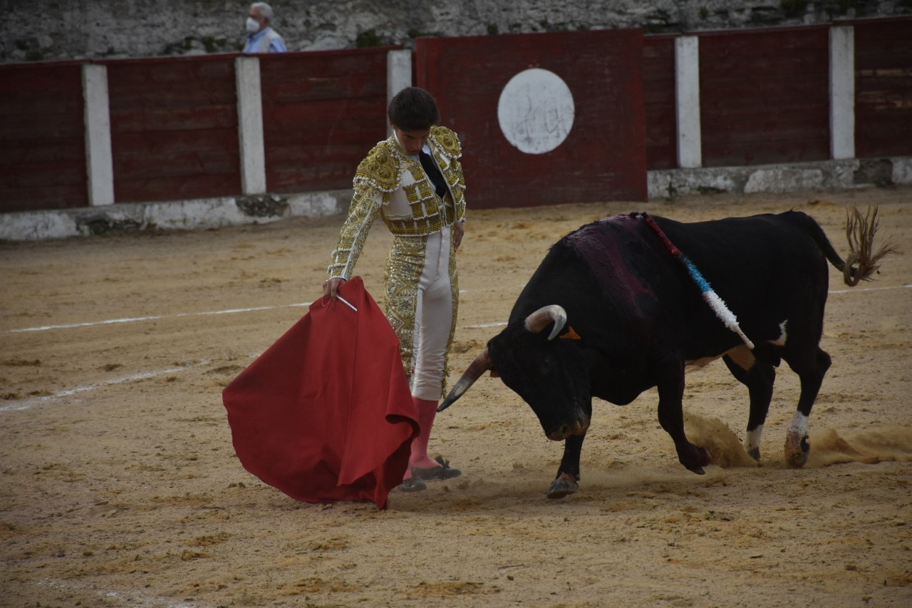 Progresión, arrojo y arte 1 1 1 vazquez 10