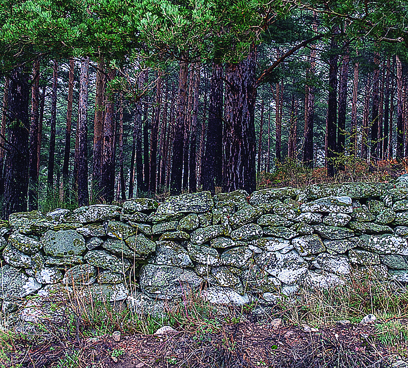 Sierra Guadarrama Tapia Piedra KAM0742