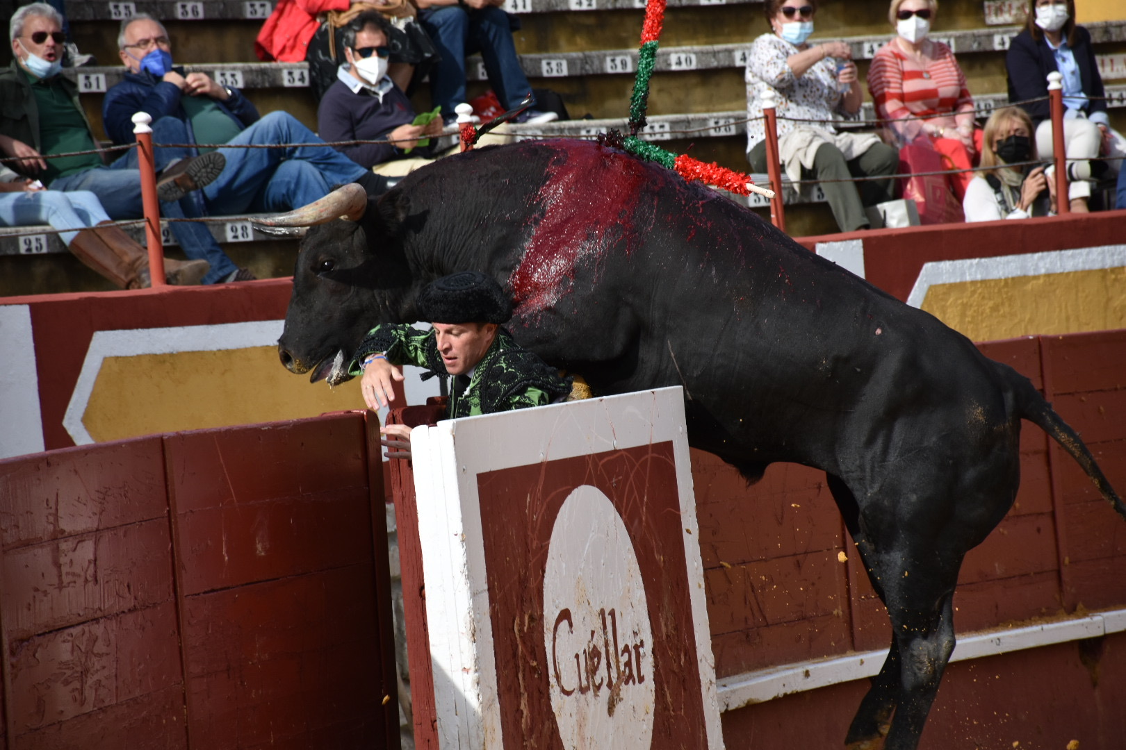 El primer toro de la corrida de Miura saltó al callejón sembrado pánico. / A.M.