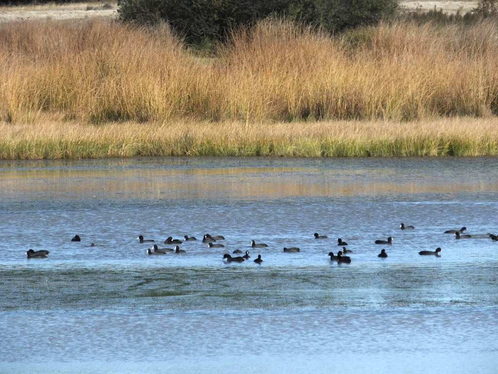 18 2 laguna cantalejo