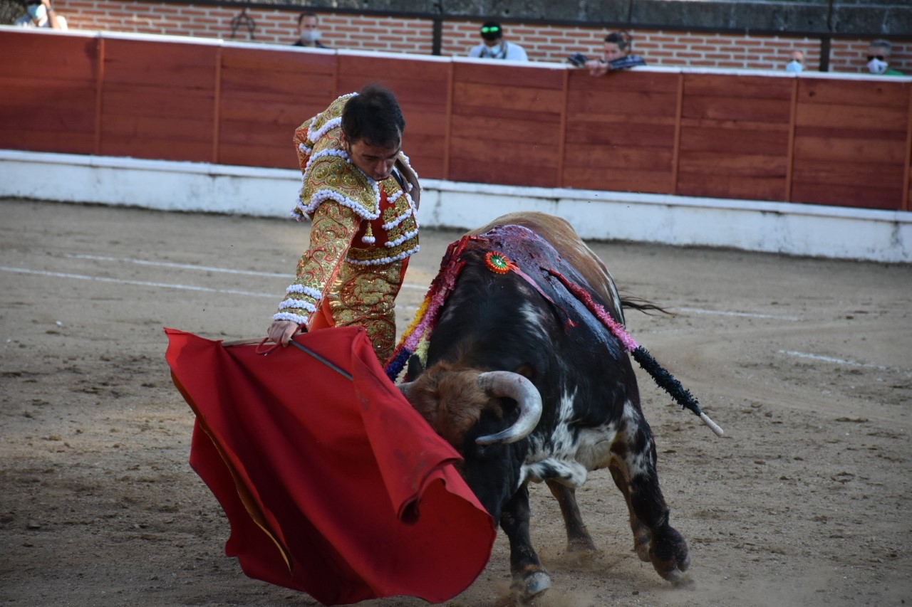 Villacastín abre la temporada taurina en la provincia con un festejo popular: tres toros por las calles 2 2 1 javier herrero 6