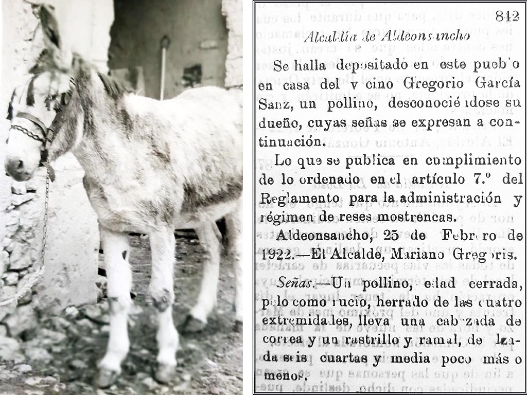 IMAGEN 2 Foto circular Aldeonsancho 1922