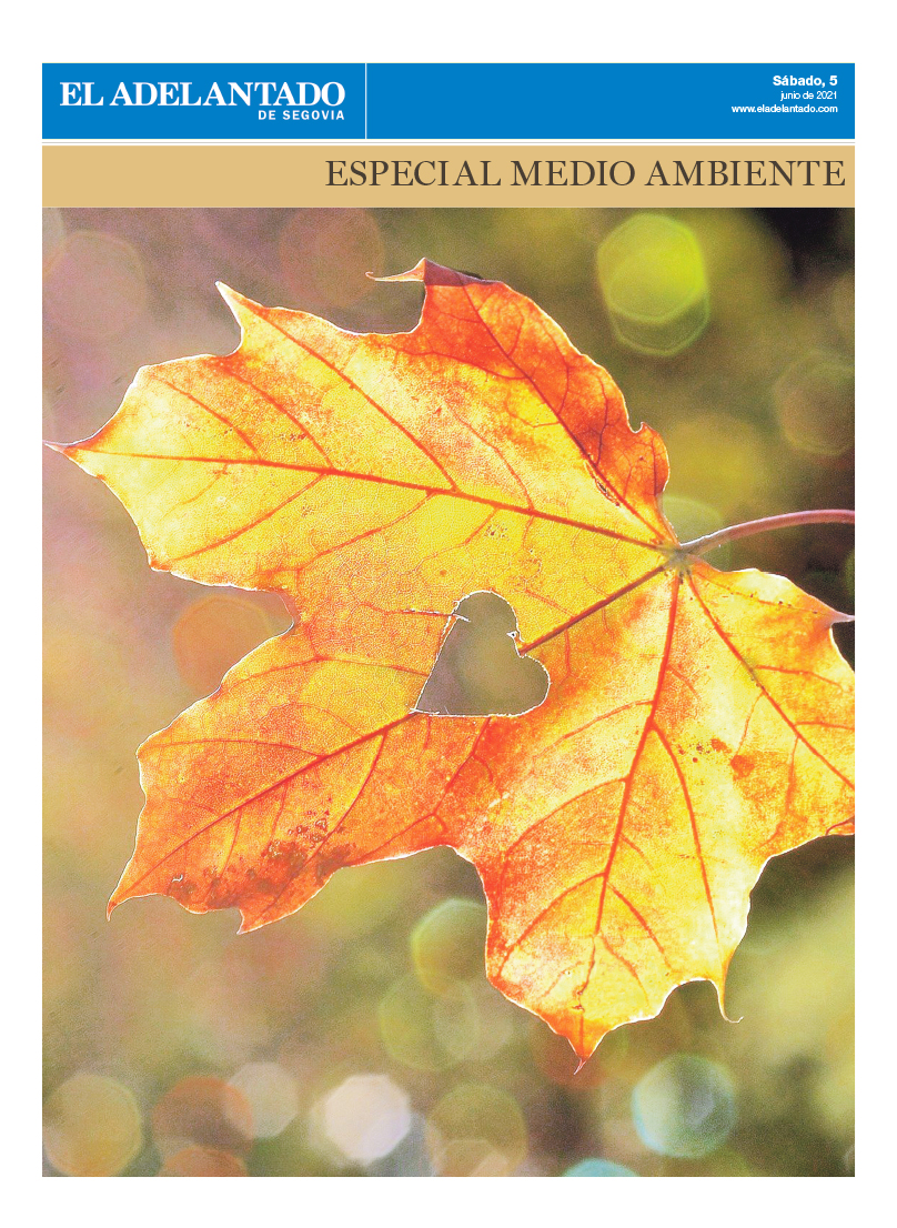 Medio ambiente 2021 1