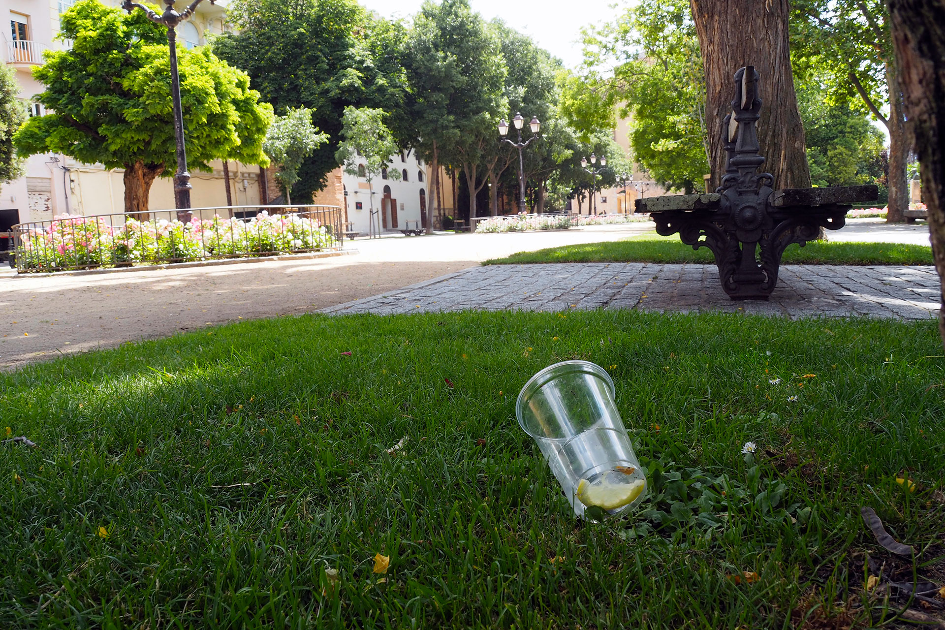 Paseo Salon Restos Botellon Apunalamiento KAM1025