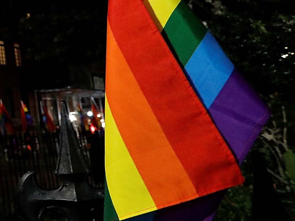 Arrancan una bandera LGTBI del Ayuntamiento de Torrecaballeros 1 bandera lgtbi