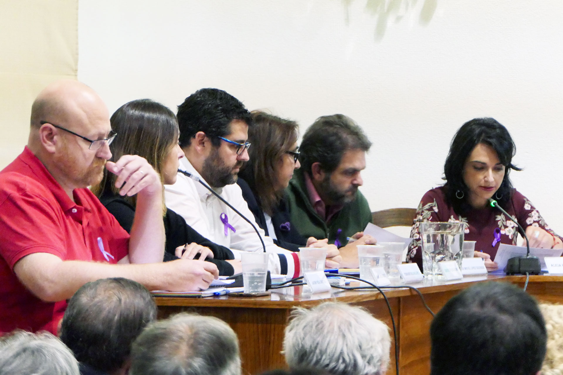 el espinar psoe pleno