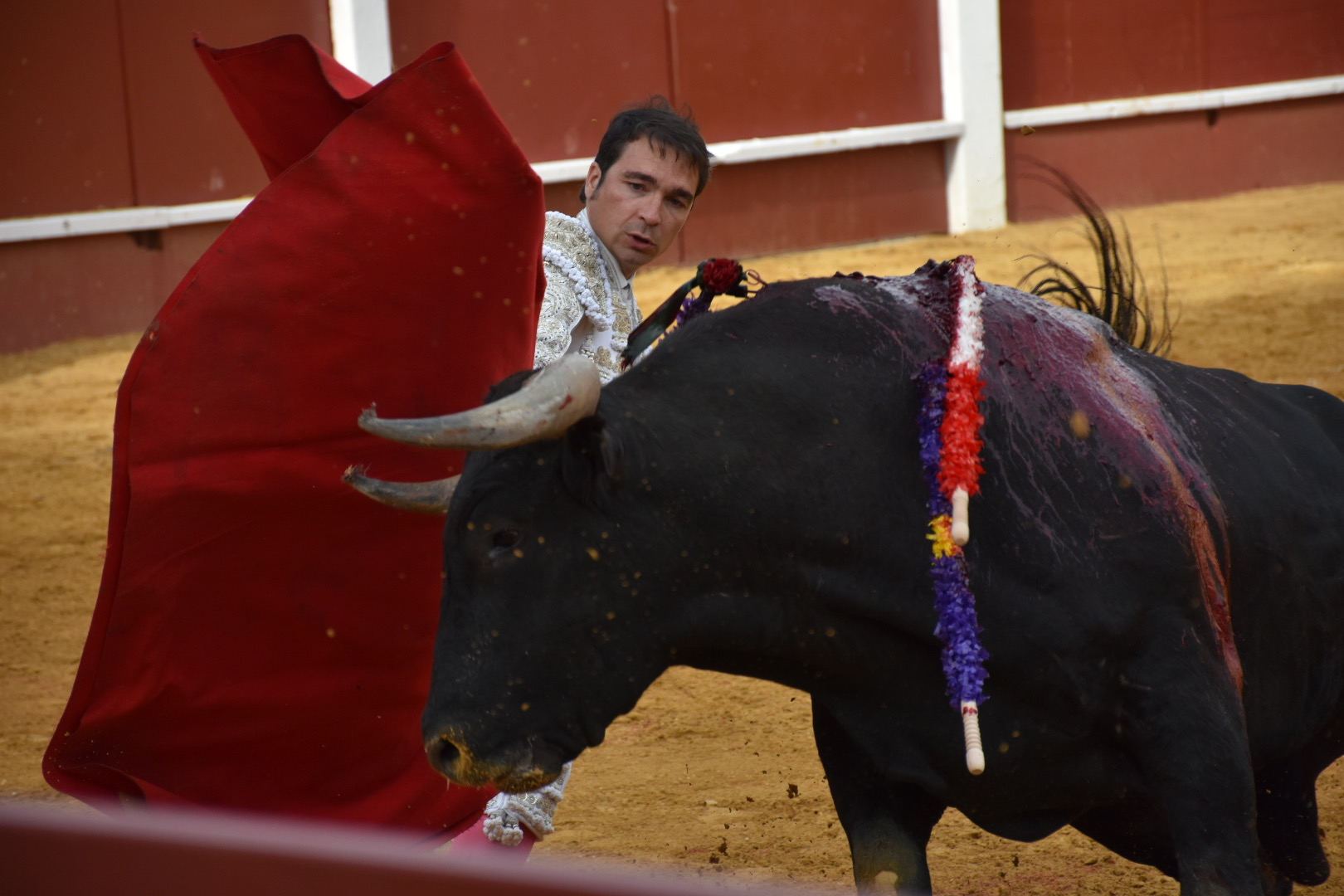 Javier Herrero suma otra ‘dura’, con los toros de Partido de Resina 1 Javier Herrero inicia en el tercio la faena de muleta.