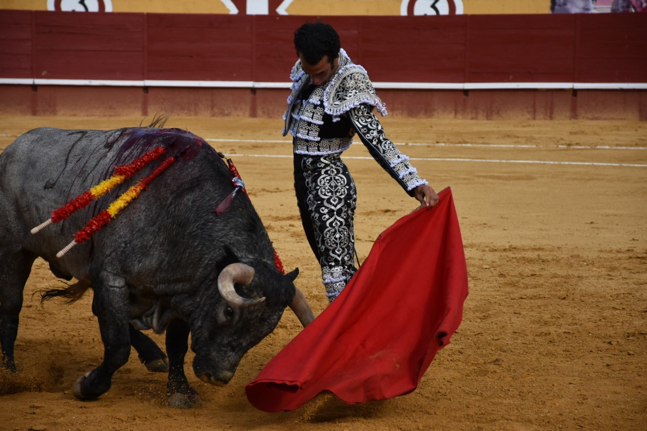 Jesús Martínez ‘Morenito de Aranda’ torea por abajo al segundo toro de Partido de Resina en la plaza de Cuéllar. / A.M.
