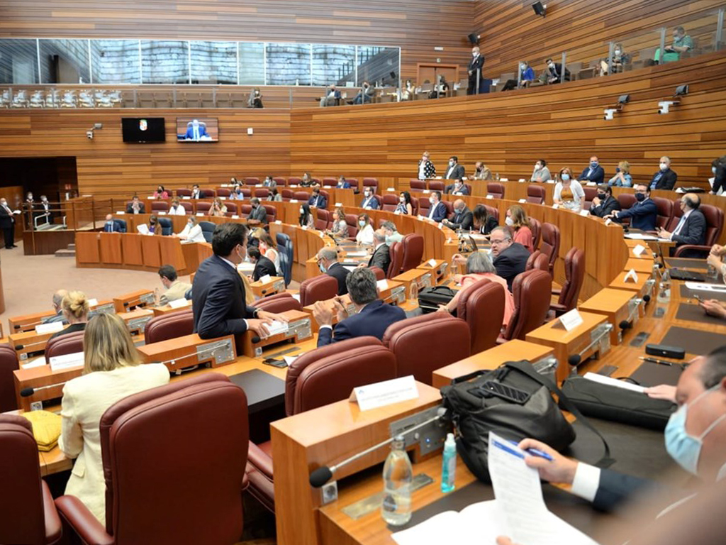 region cortes de castilla y leon