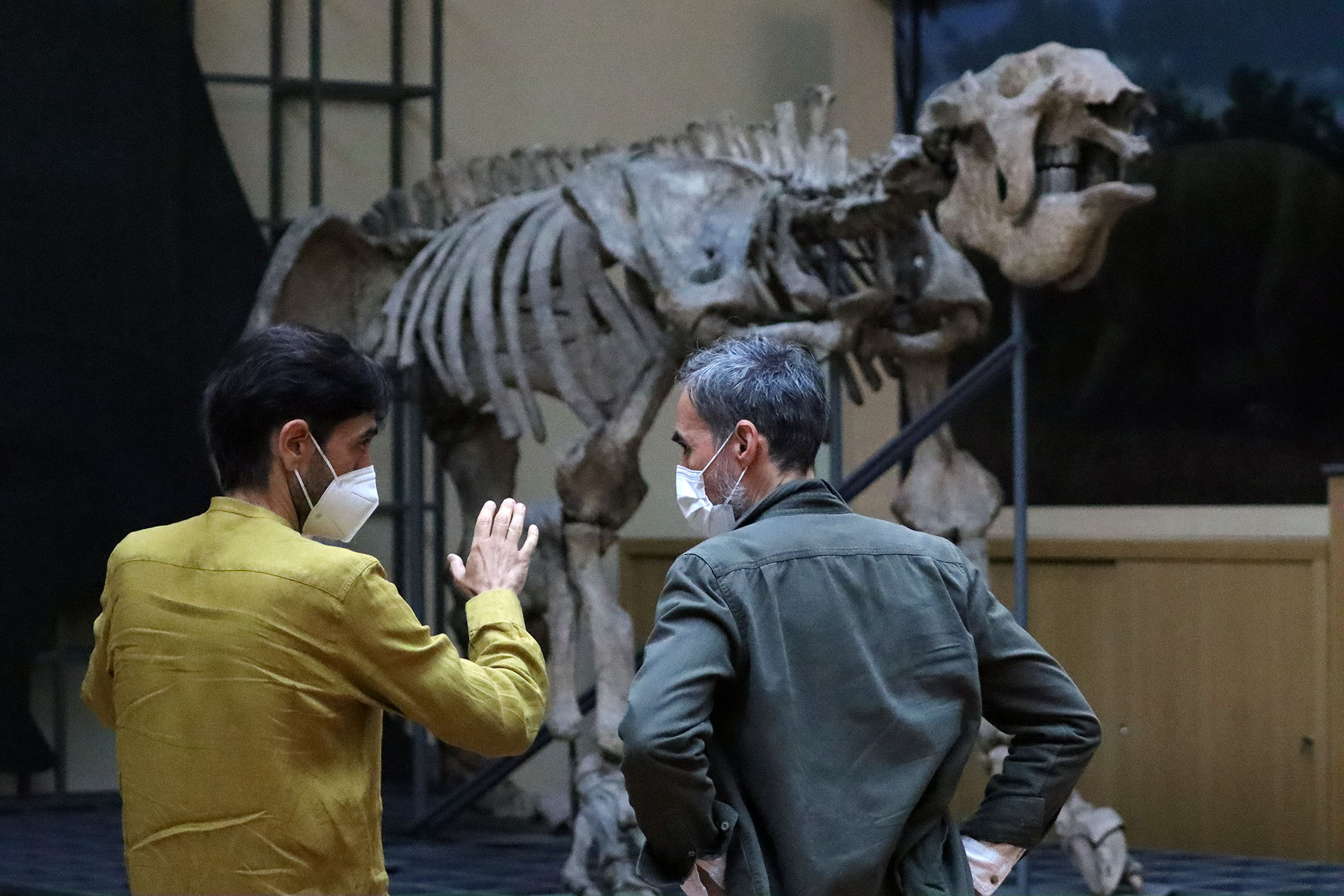 rodaje documental museo ciencias naturales mario cuesta IMG 4679