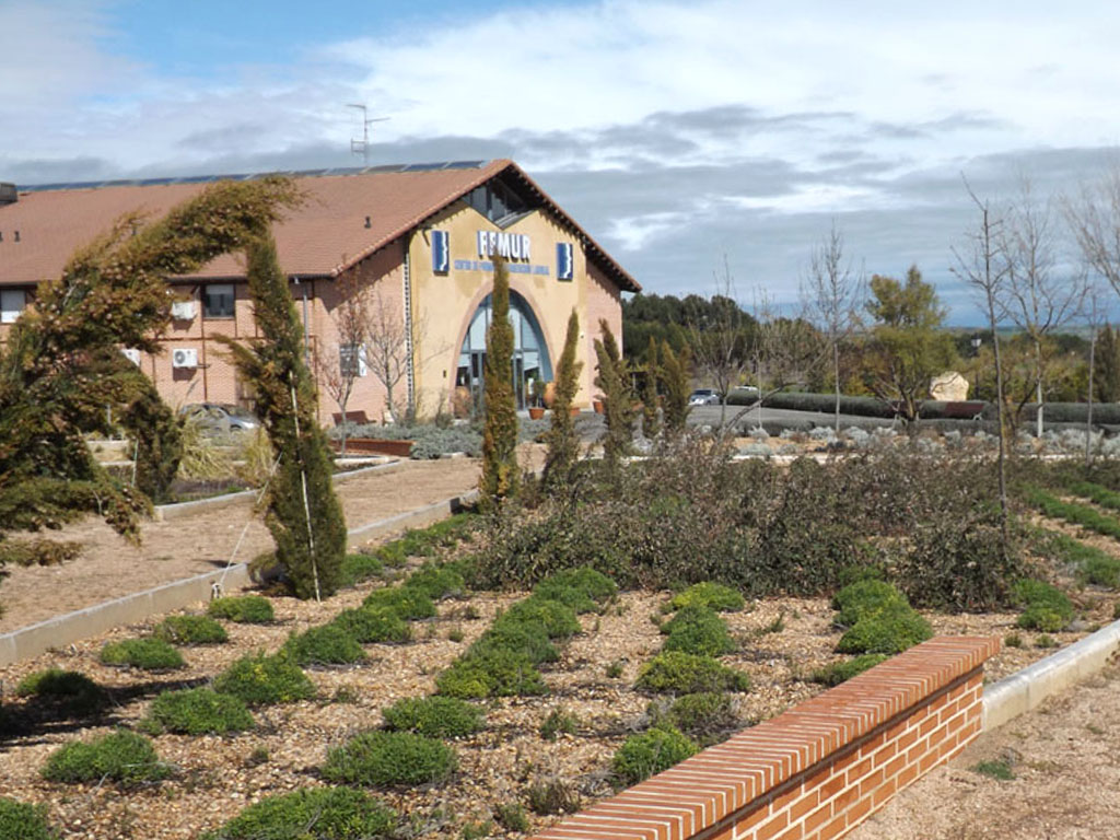 sede femur hontalbilla