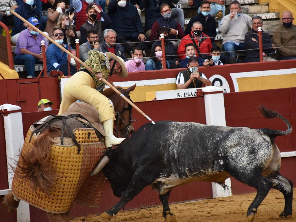 taponero toro miura cuellar