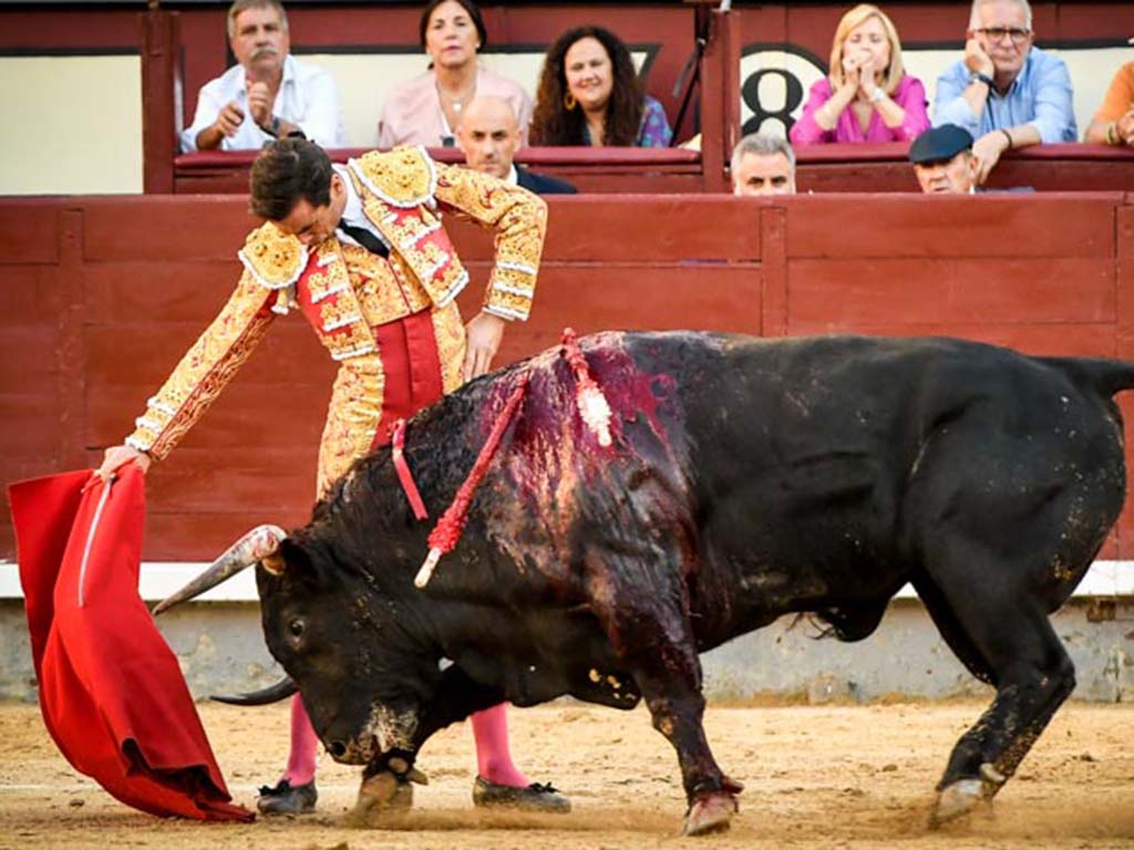 toreo juan ortega las ventas madrid toreo juan ortega las ventas madrid