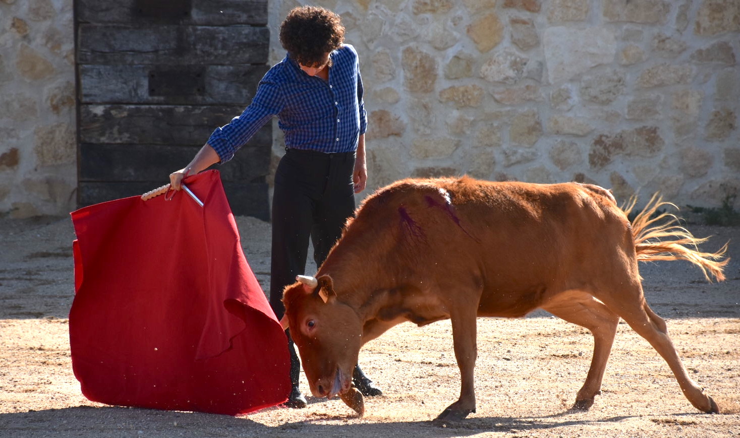 toros joaquin galdos los cerros