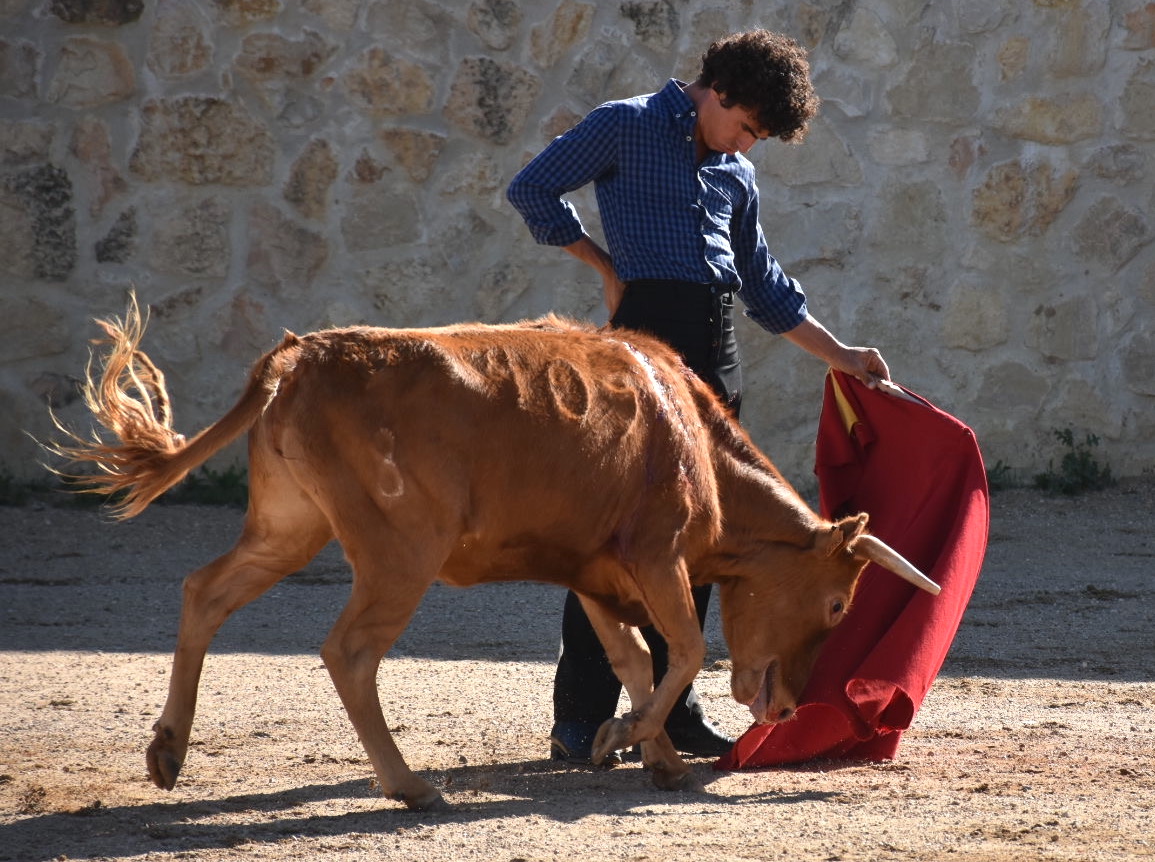 toros joaquin galdos natural