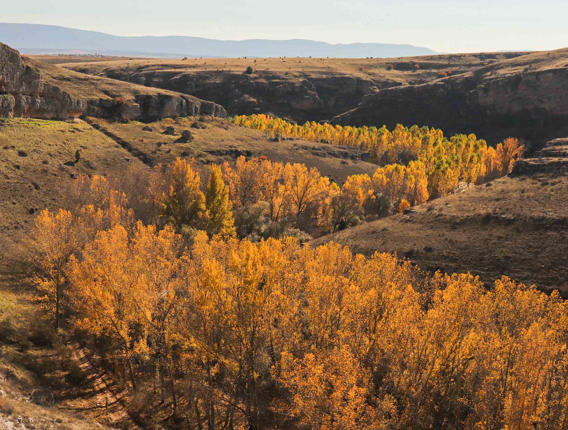 La foto formará parte de la Memoria de Actividad de la CHD. / BLANCA PASCUAL