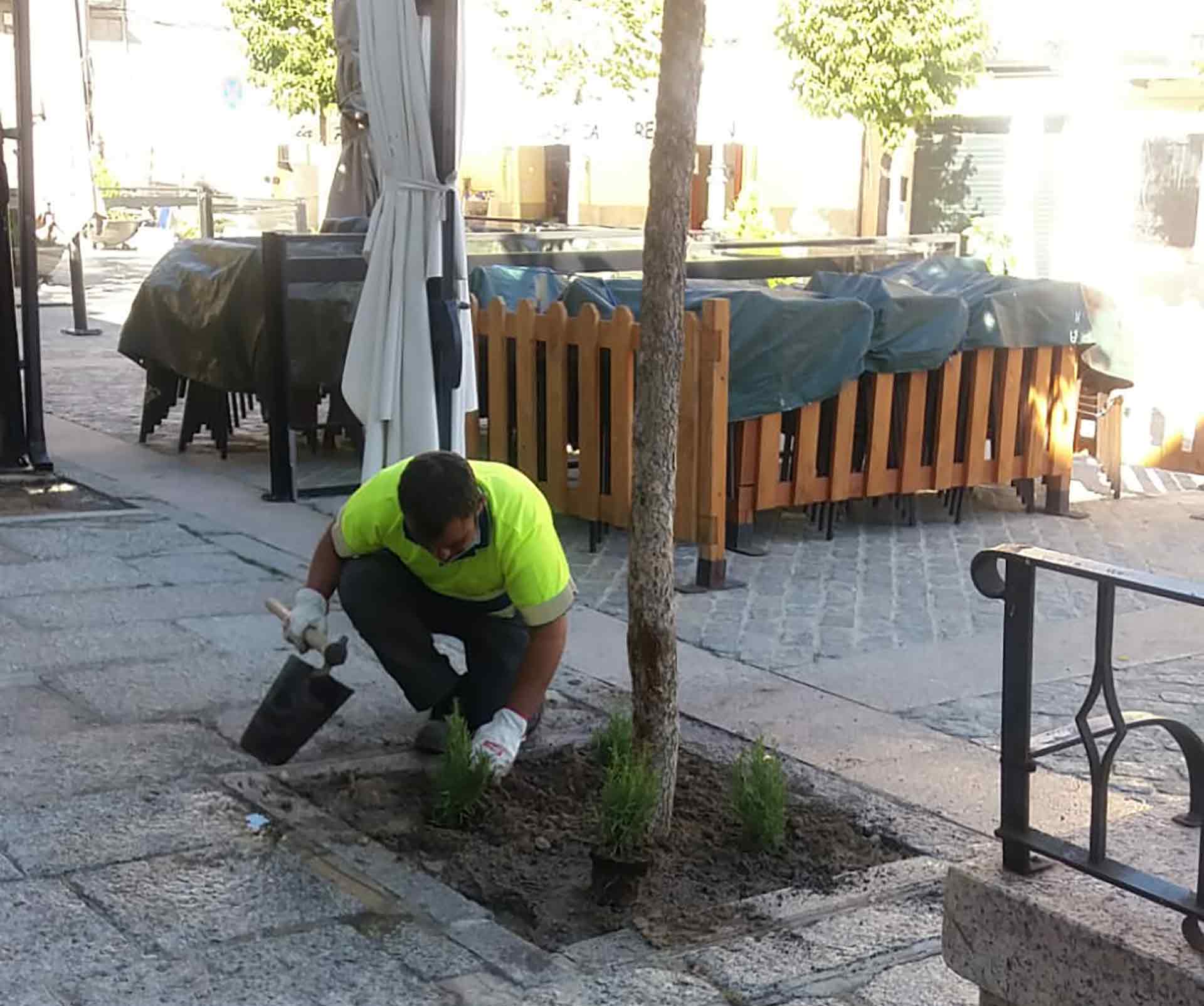 la granja alcornoques