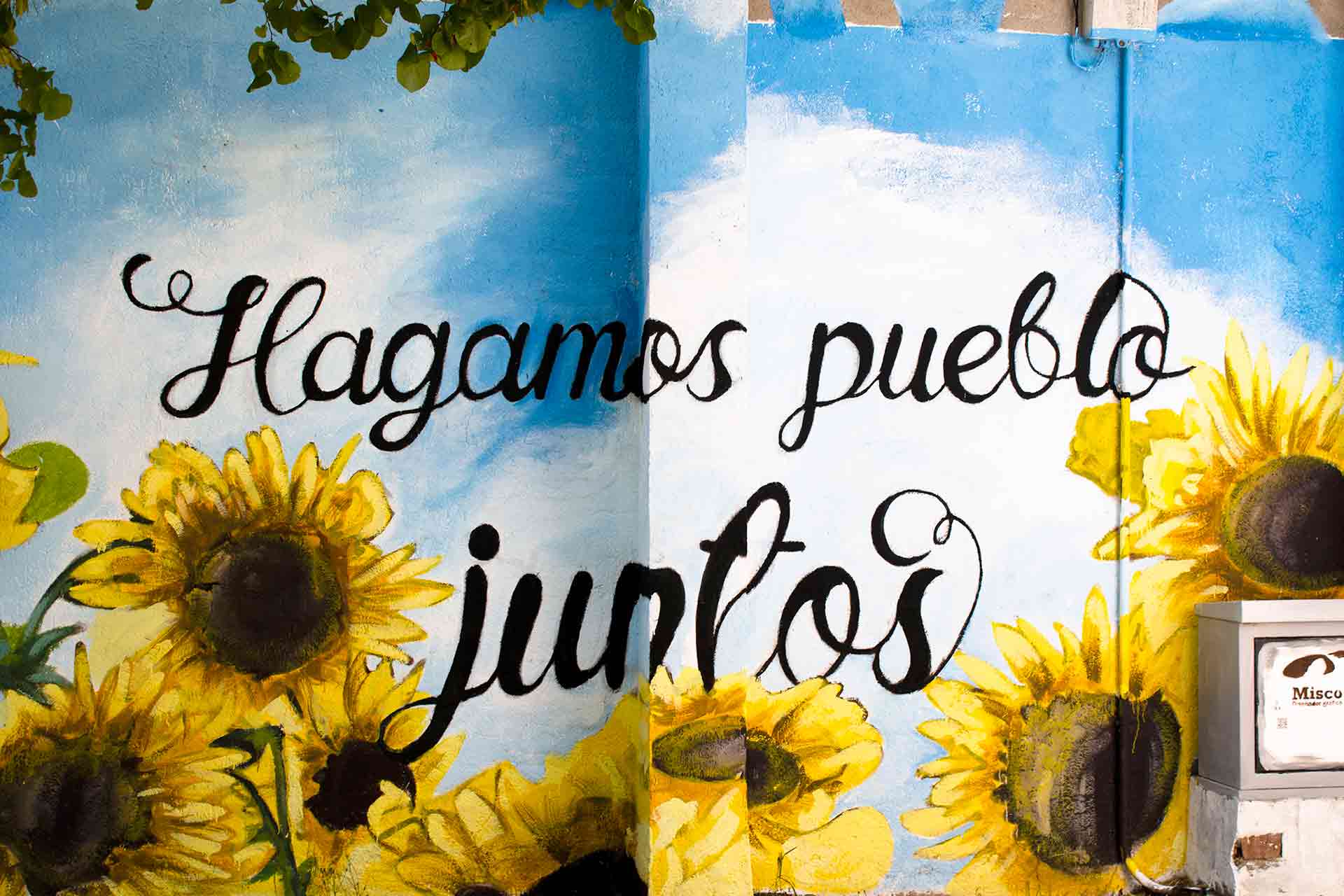 15 01 WEB MURAL LA MATILA 2