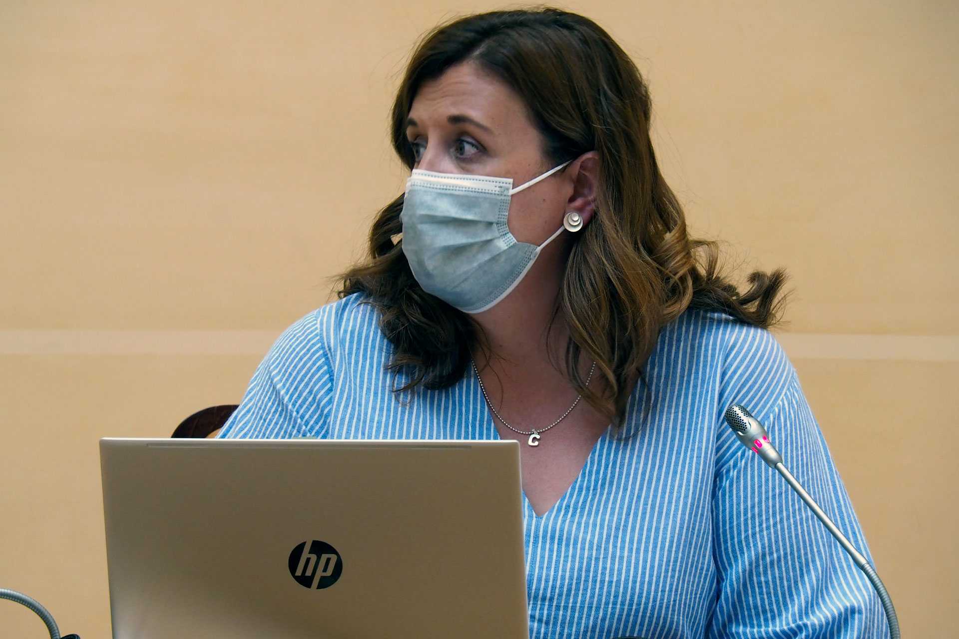 Ayuntamiento Pleno KAM0499