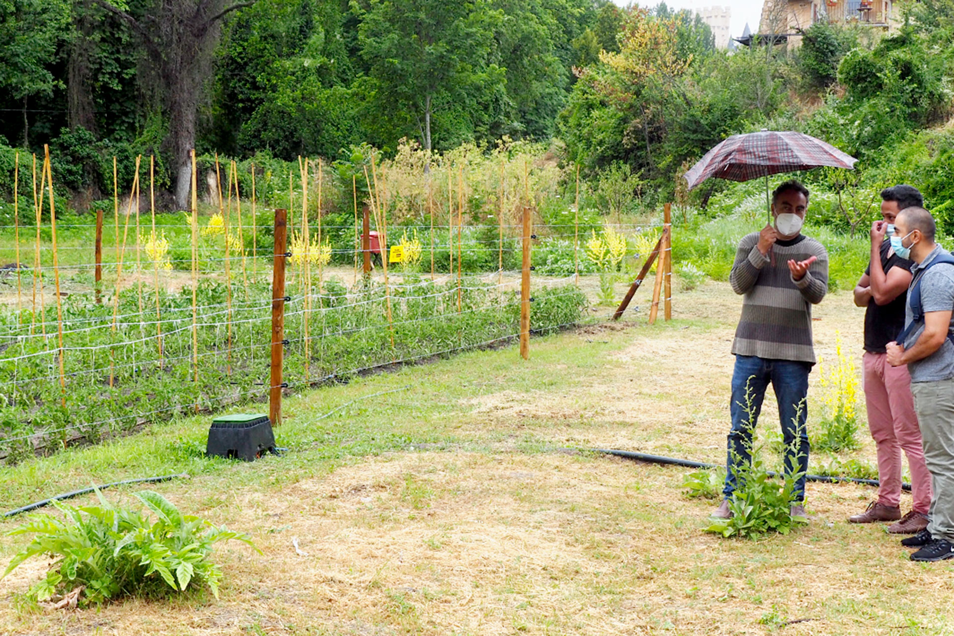 Ayuntamiento RP Proyecto Ecosocial Huerta Grande Conclusiones KAM2947