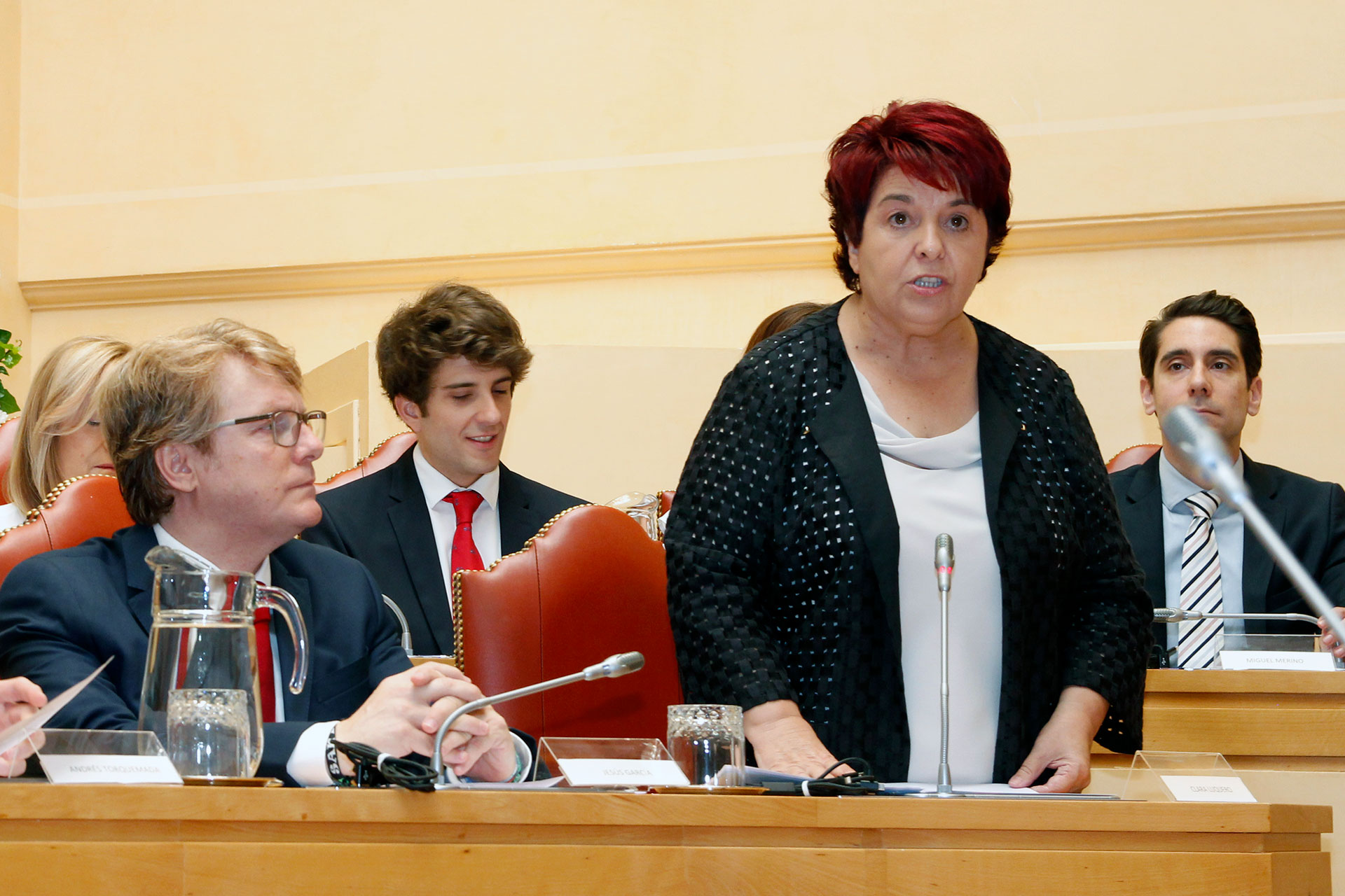Ayuntamiento constitucion alcaldesa y concejales 18