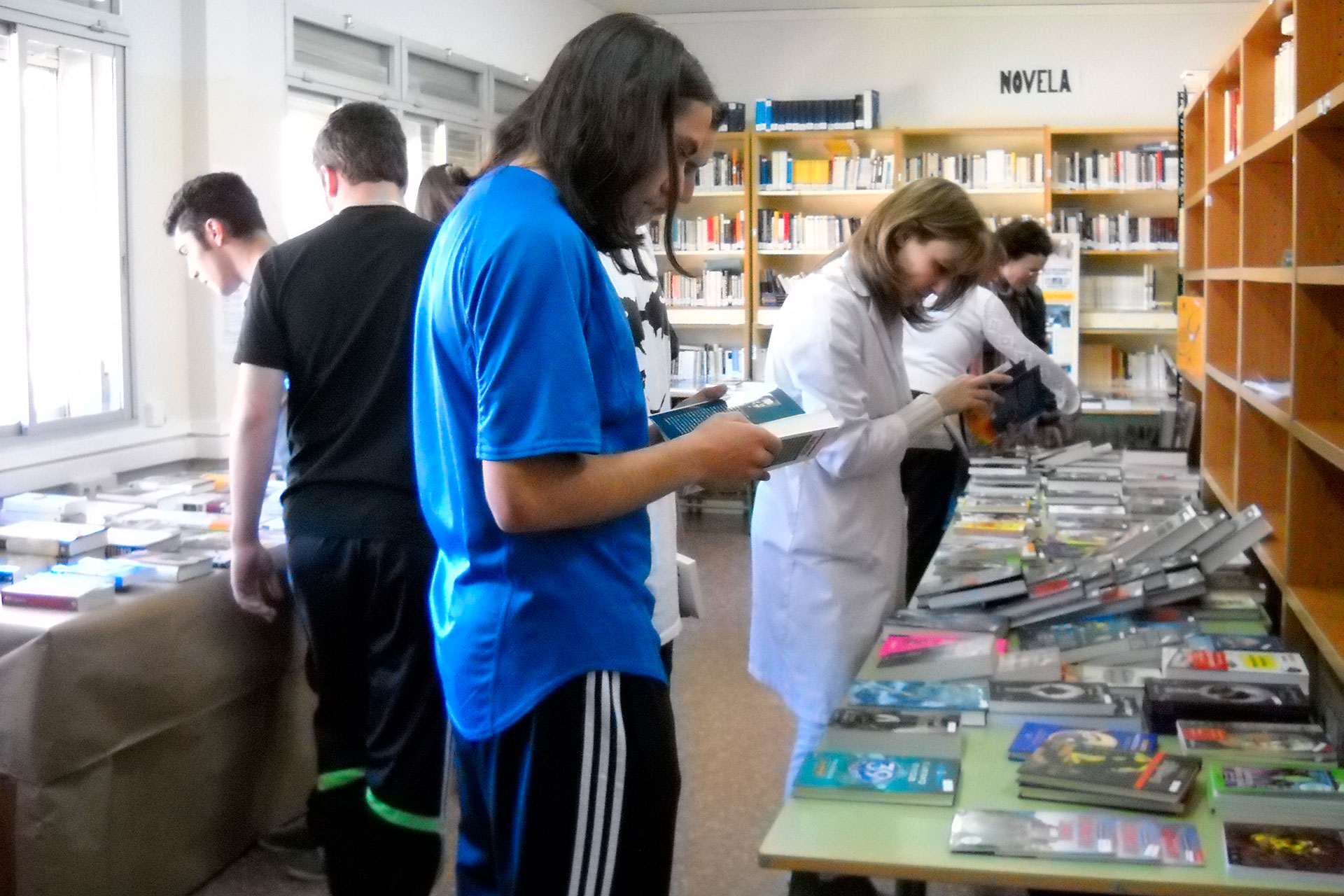 IES Sierra de Ayllon biblioteca