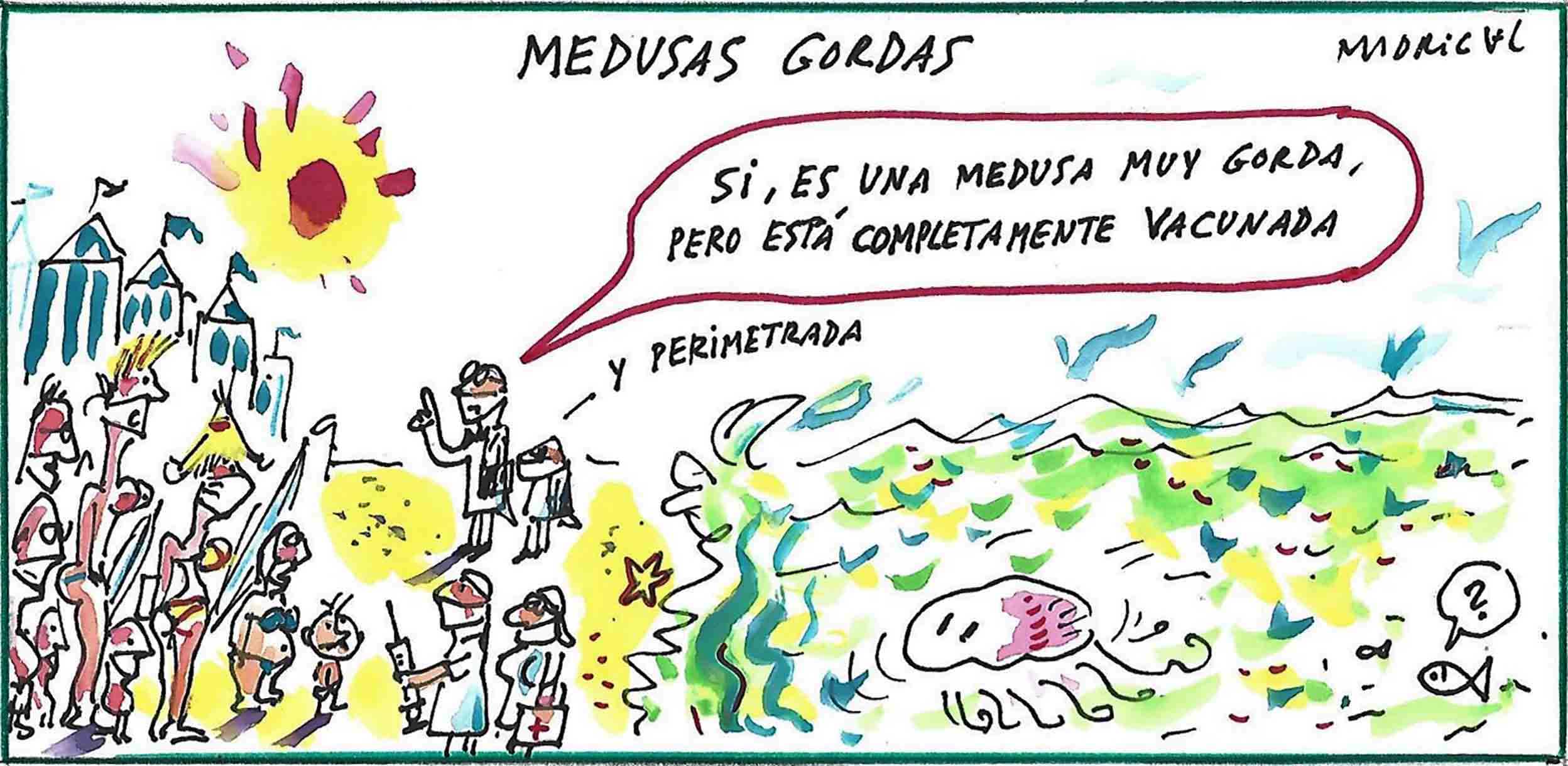 Madrigal Medusa grande