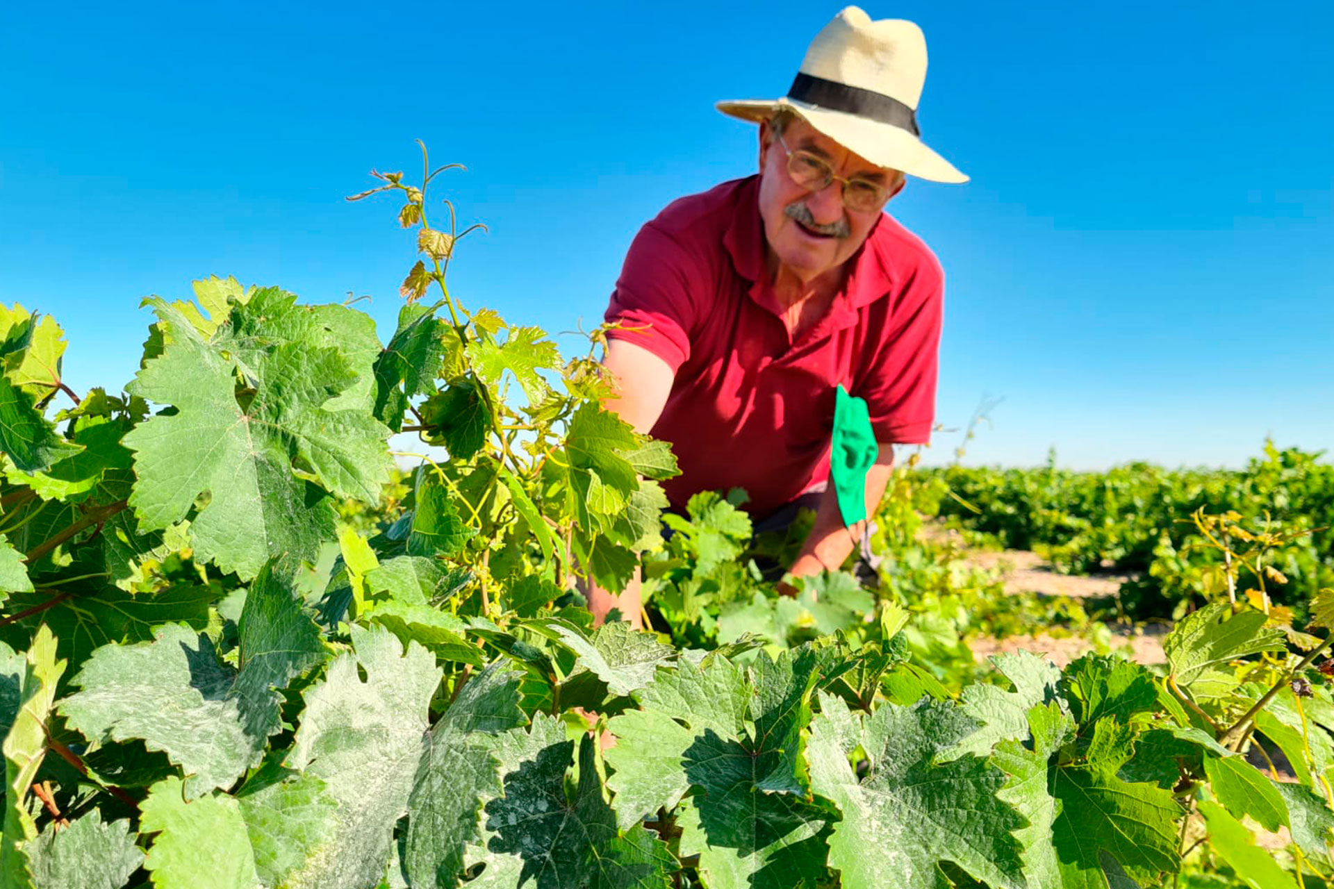 El Rey Juan Carlos I otorgó a Nicéforo González la Cruz del Mérito Agrícola. Además, era el secretario de la Asociación Española de Lonjas y Mercados en Origen. / EL ADELANTADO