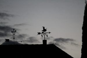 anacriado 6 anacriado 6