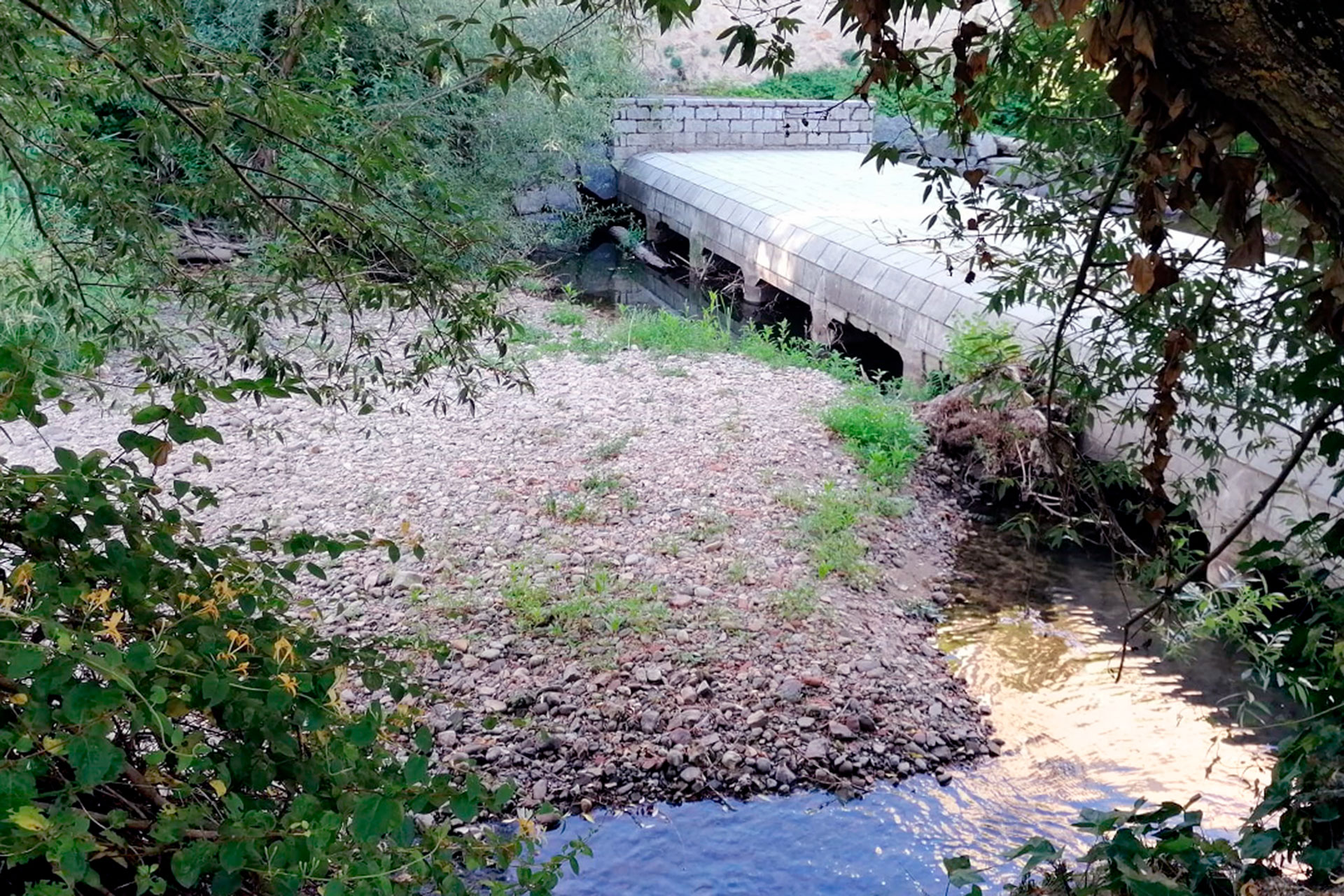 ayuntamiento pp azud san marcos limpieza