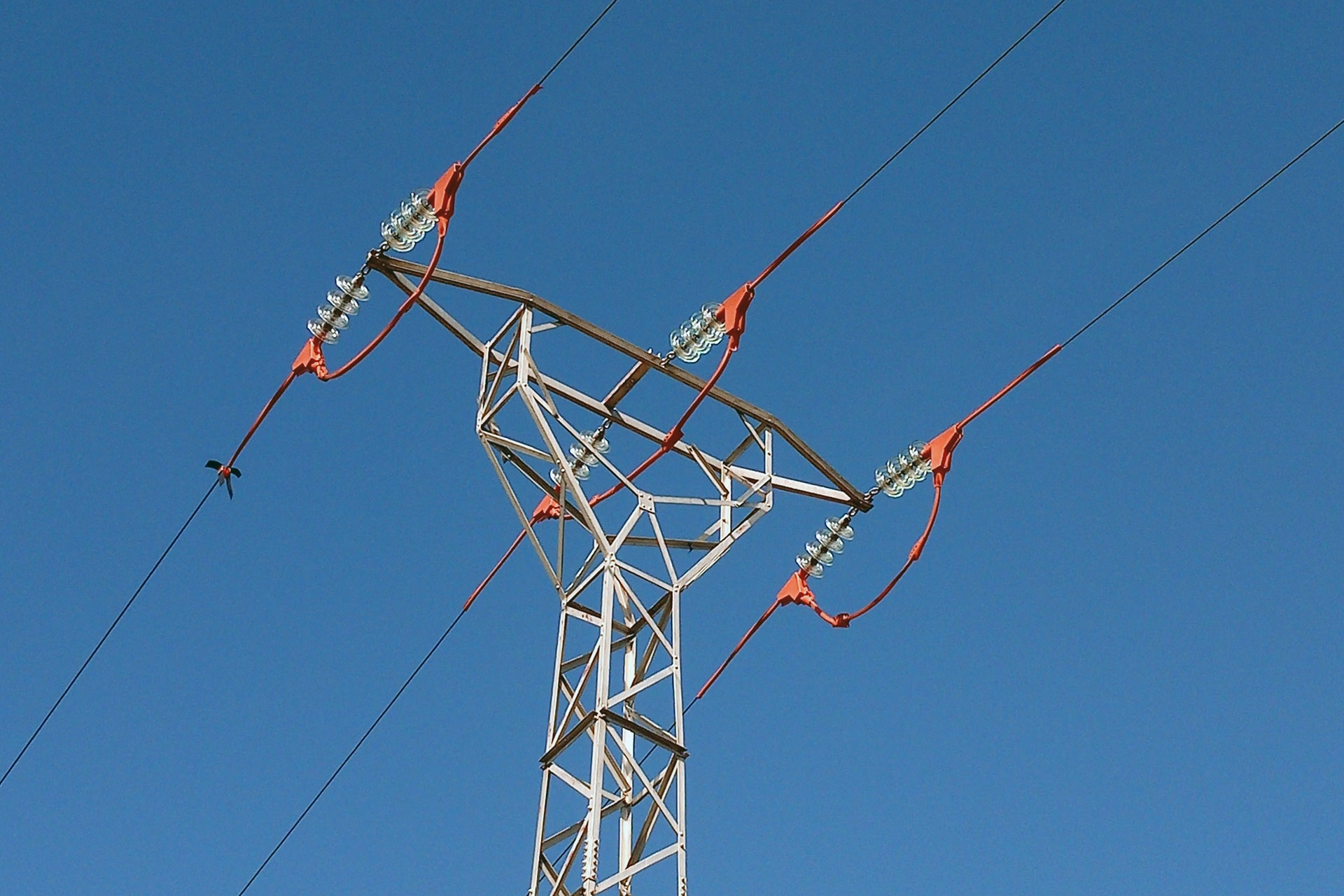 el espinar campo azalvaro ciguenas muertas 03
