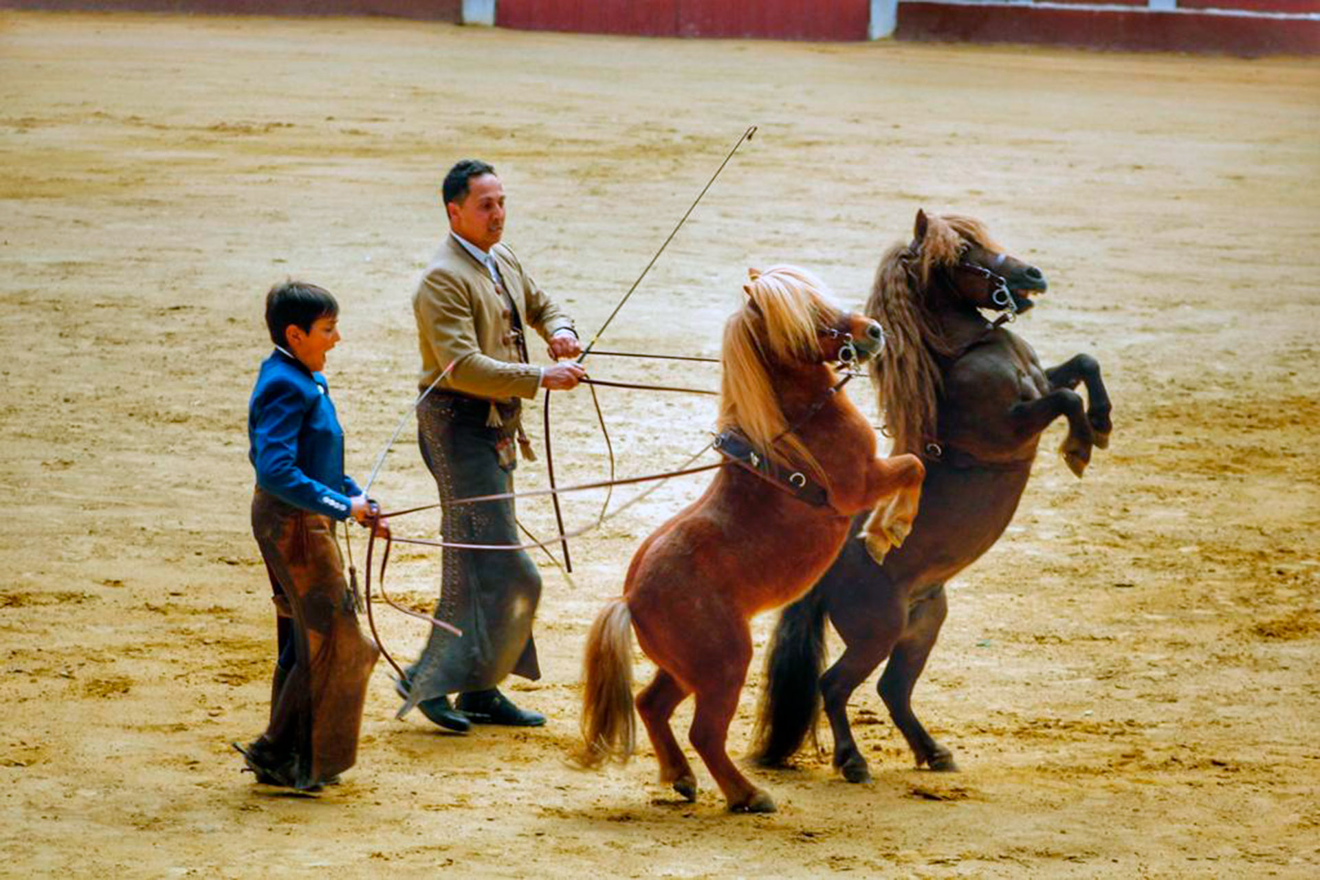 el espinar espectaculo ecuestre solidario ELA