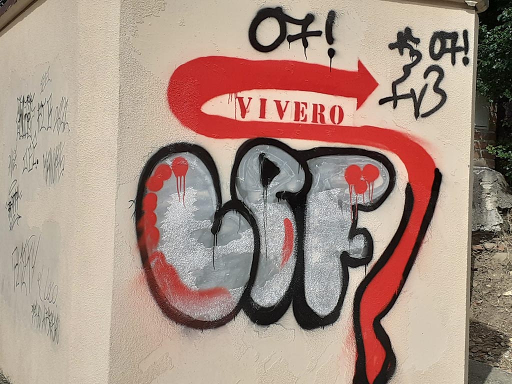 pintadas grafitis riaza