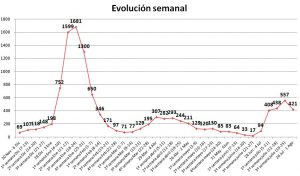 04 02 grafico web