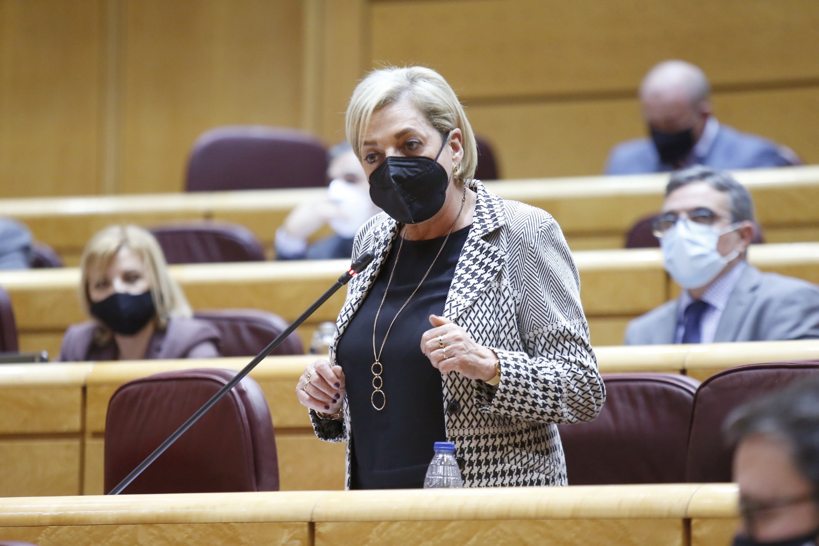 La presidenta del PP de Segovia, Paloma Sanz, en la Cámara Alta. / EL ADELANTADO