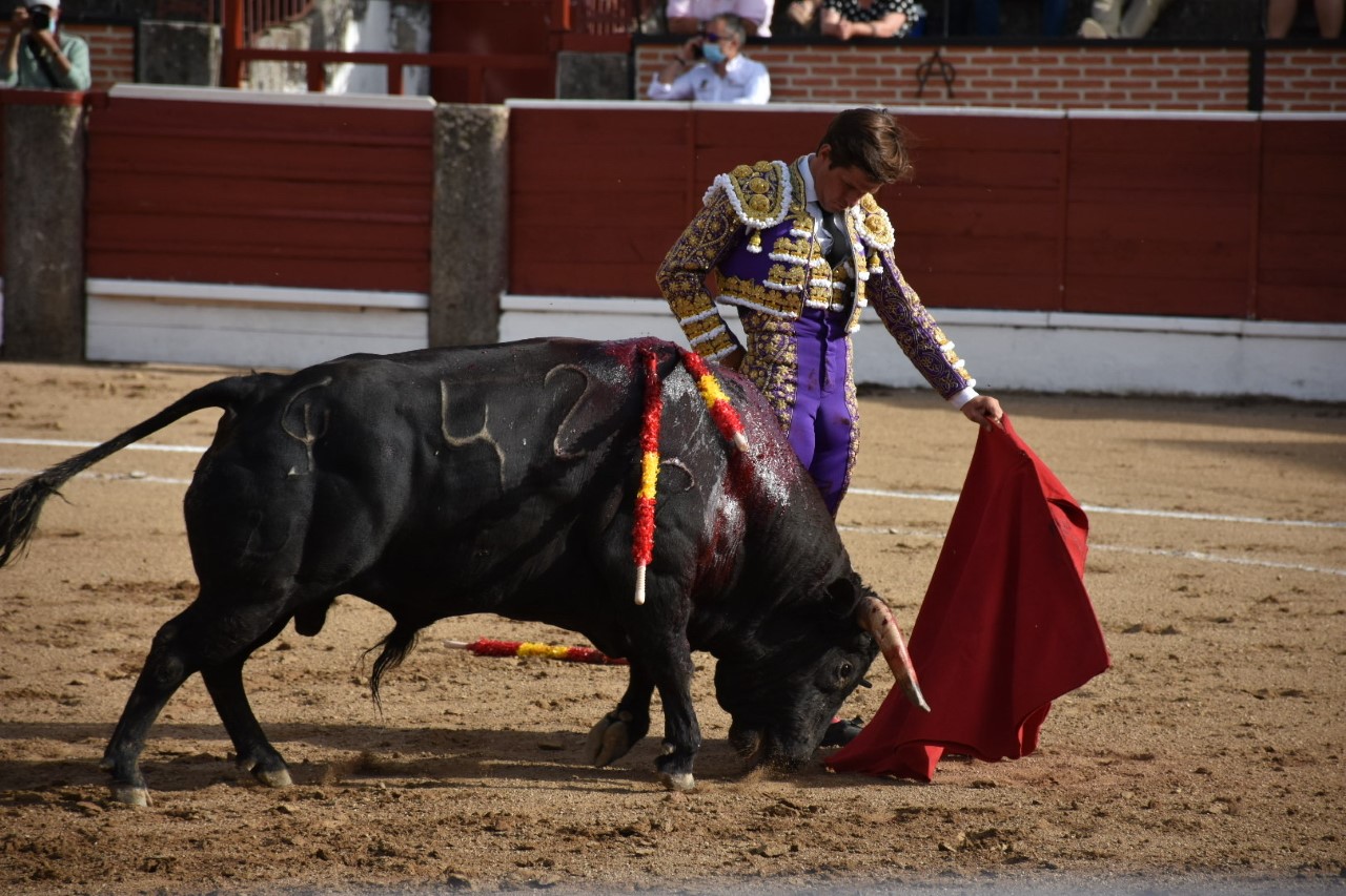 Natural templado de Julián López ‘El Juli’, en el primer festejo de la feria de El Espinar. / A.M.