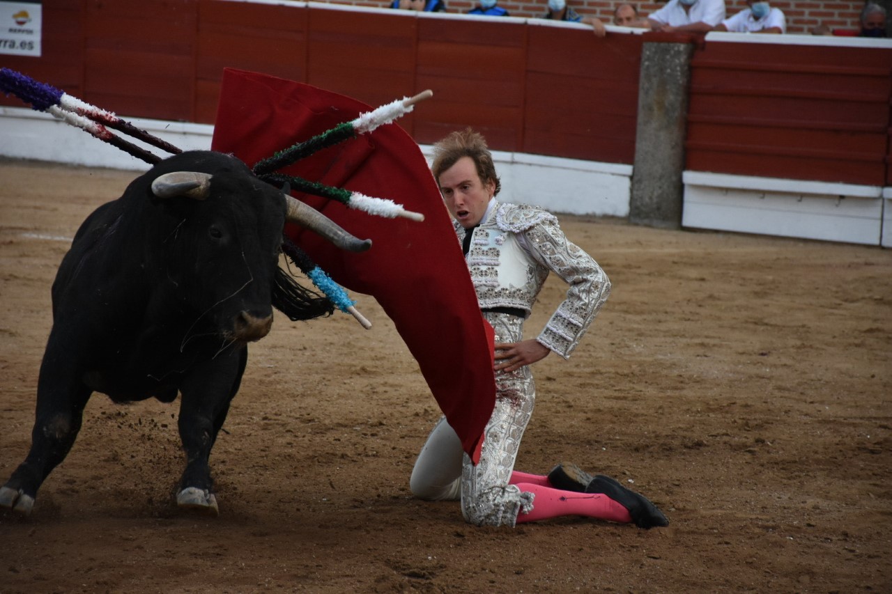 El valenciano Román, de rodillas ante el último toro de la tarde de Peña de Francia. / A.M.