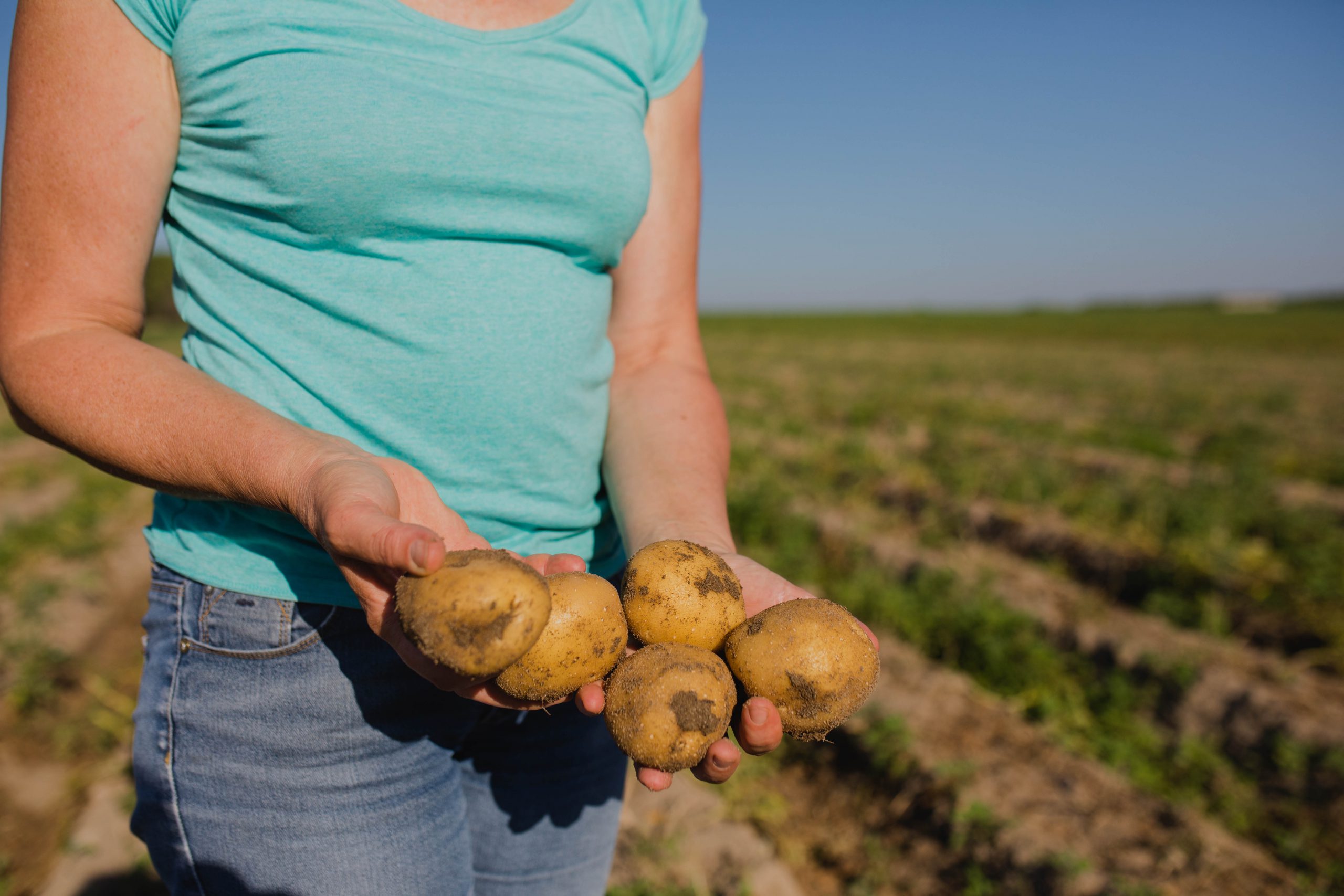 20210823 Concurso relatos alimentacion