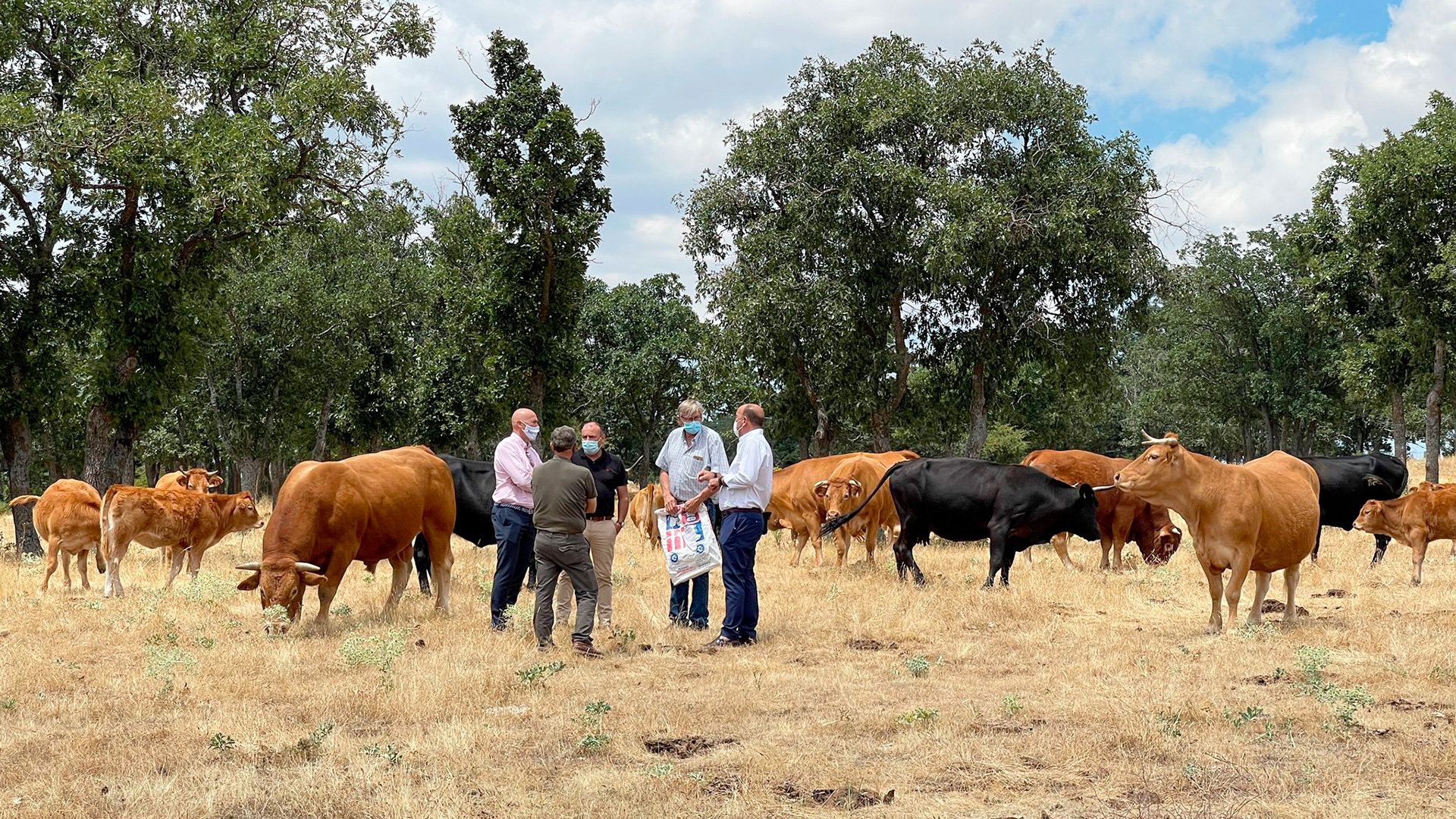 Visita MA de Vicente a El Espinar 1 web