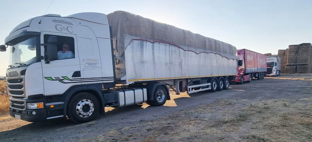 camiones paja incendio avila velasco
