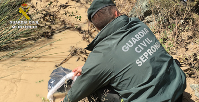 guardia civil seprona cisne ochando