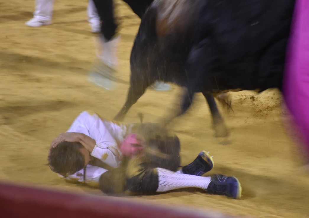 marcos cabano cogido concurso cortes cuellar