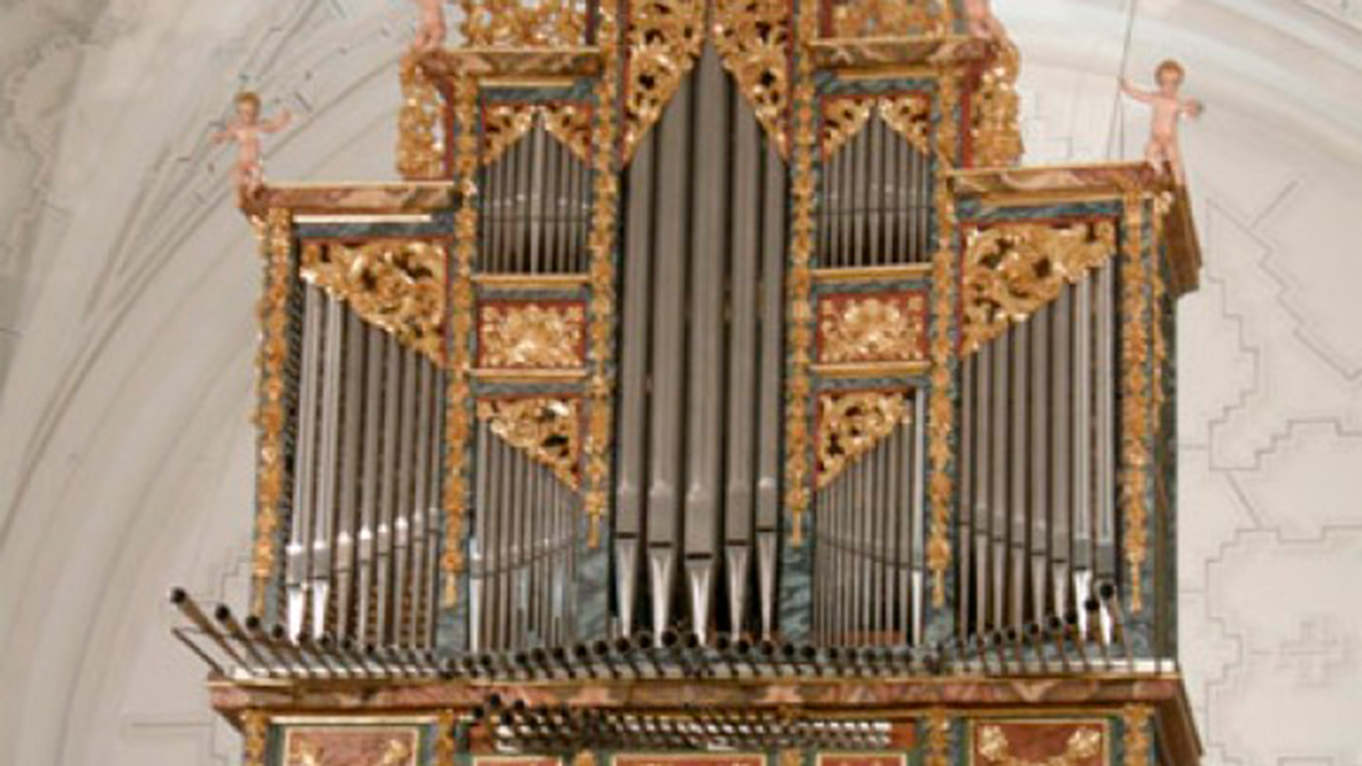 organo sangarcia web