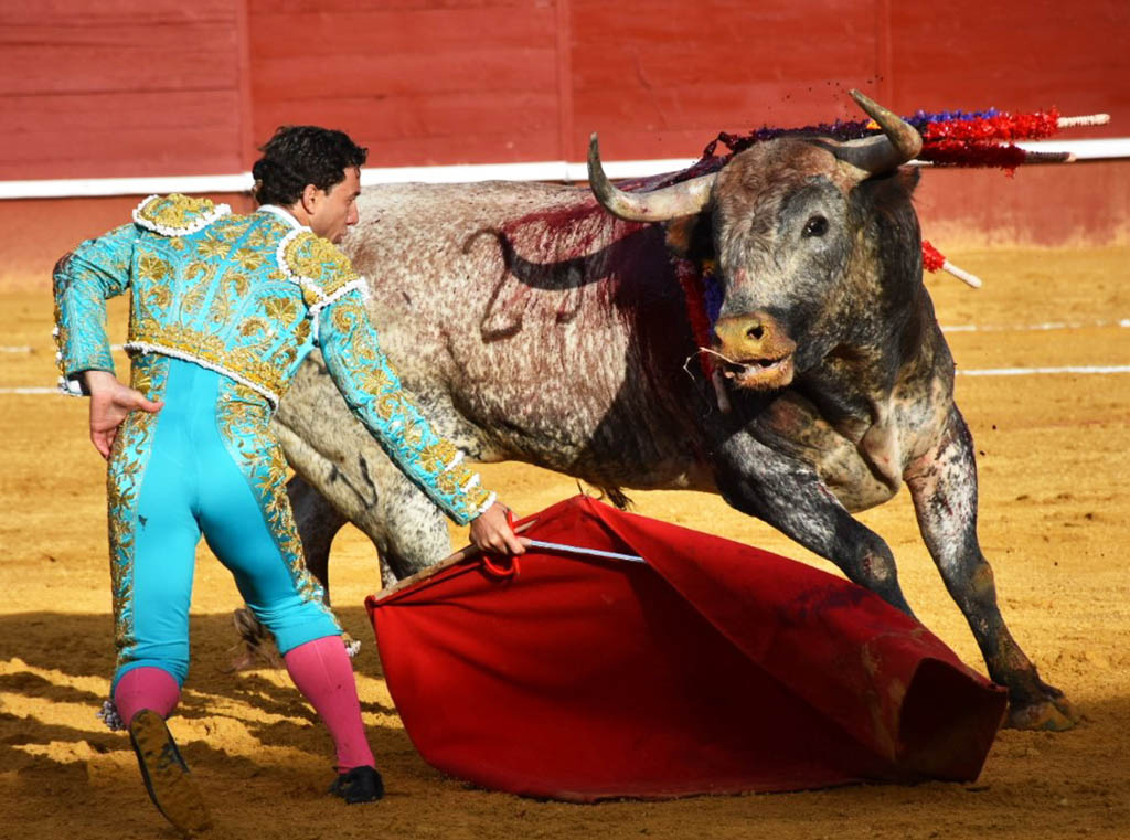 toros cuellar rafaelillo miura