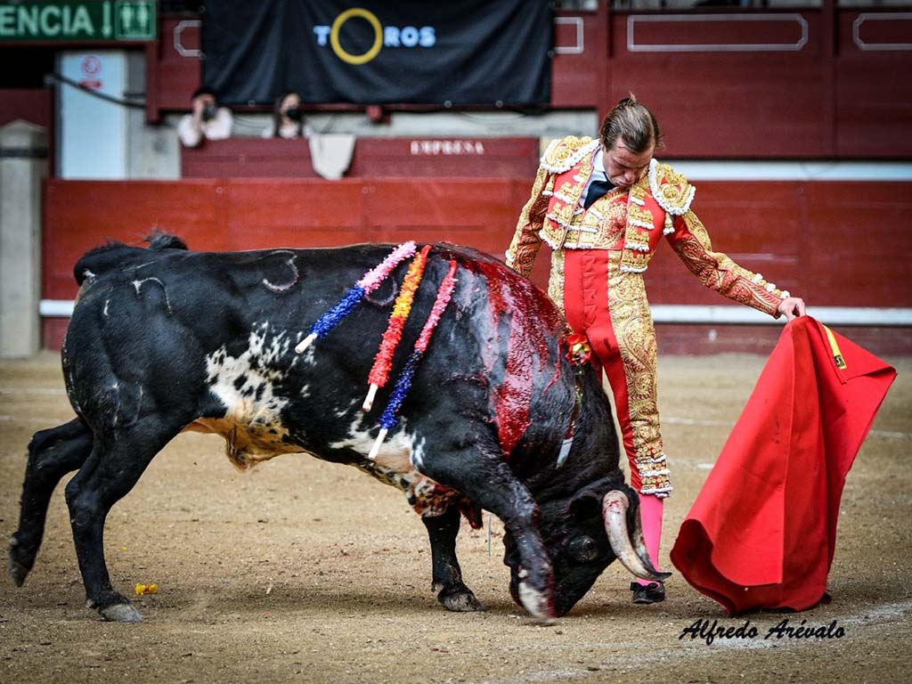 toros javier cortes natural